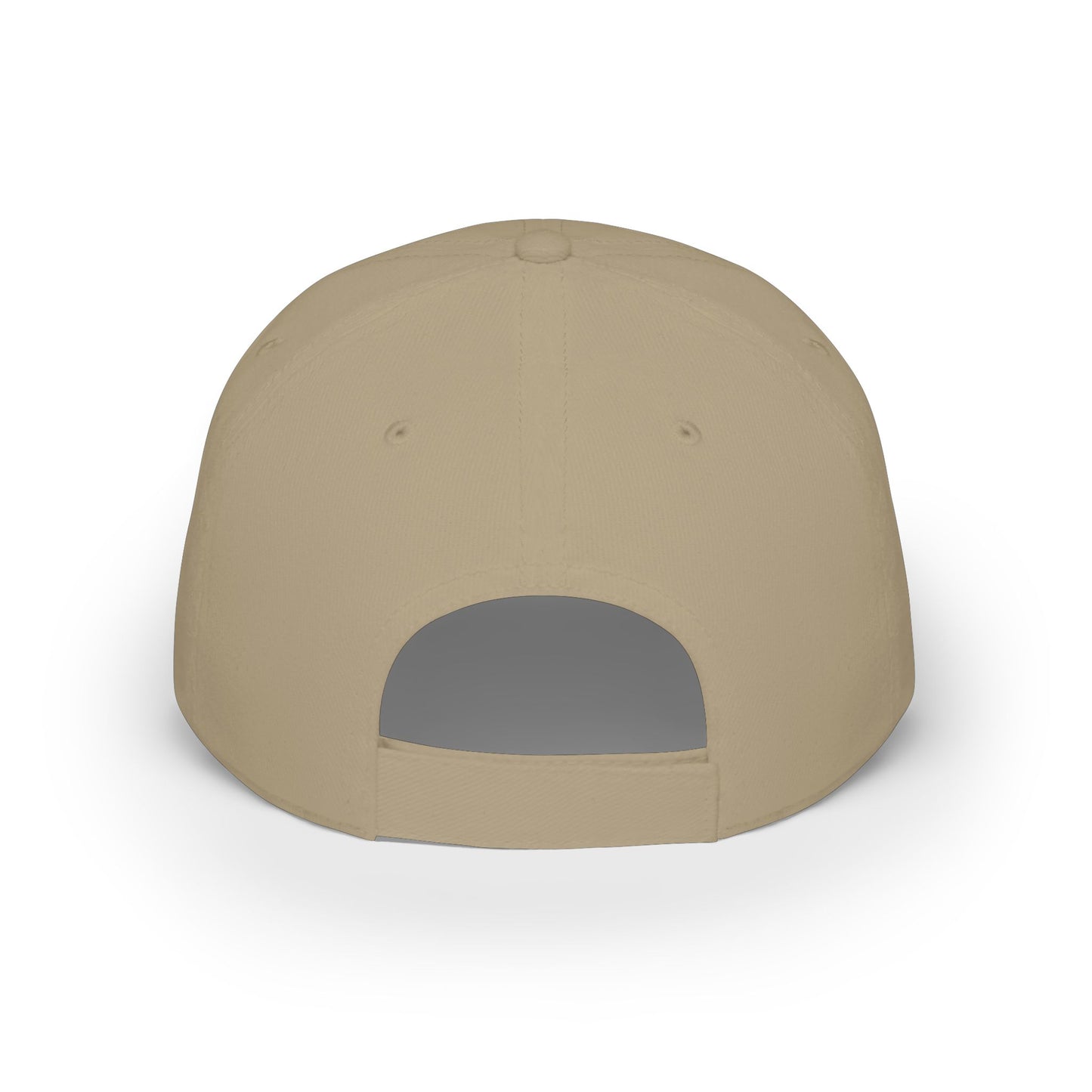 Digital Dash Diaries Core Lo-Pro Baseball Cap